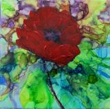 name} Sold Poppy, 2021